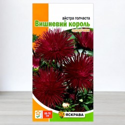 Насіння айстри голчастої Вишневий король, бордова, 0,3г, ТМ Яскрава
